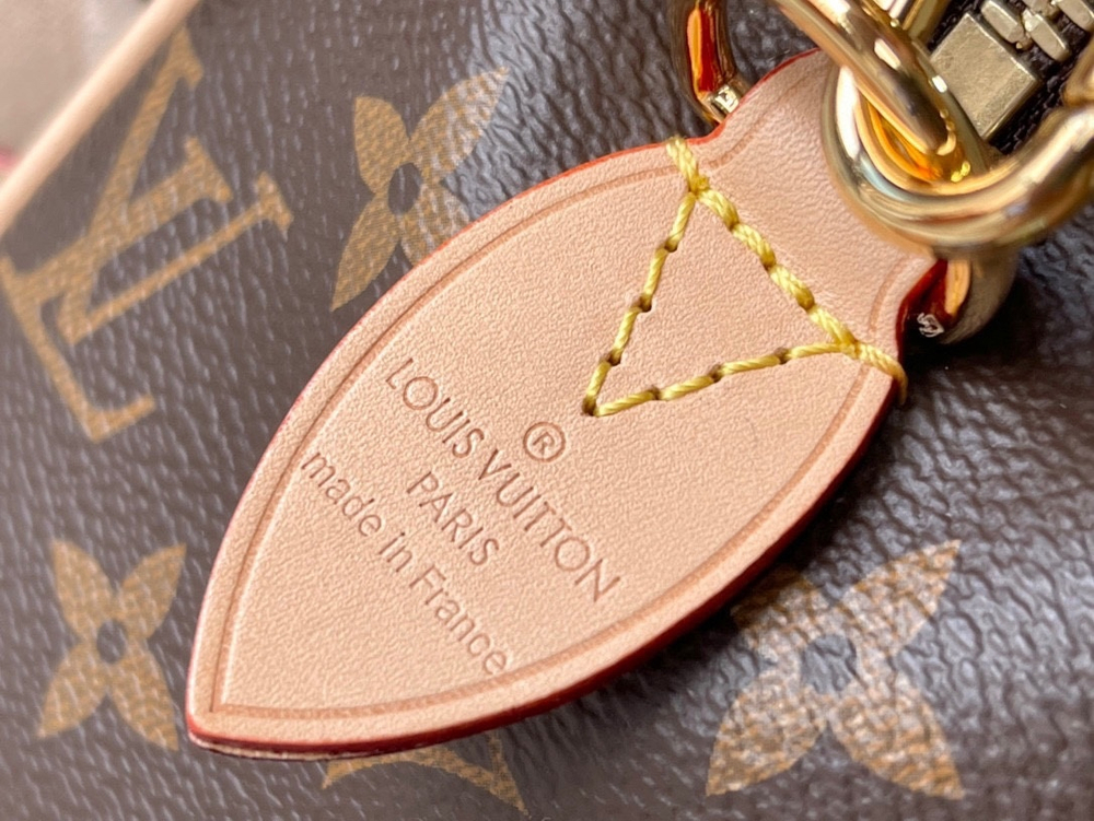 Louis Vuitton Speedy 20
