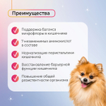 Функциональное лакомство Favet SuperFlora Soft Chews для пищеварительной системы для собак, 120г