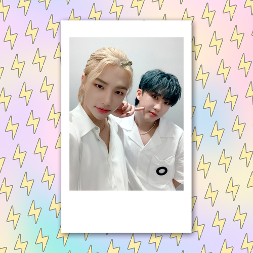 Плюшка / Мини-поло #132 / STRAY KIDS