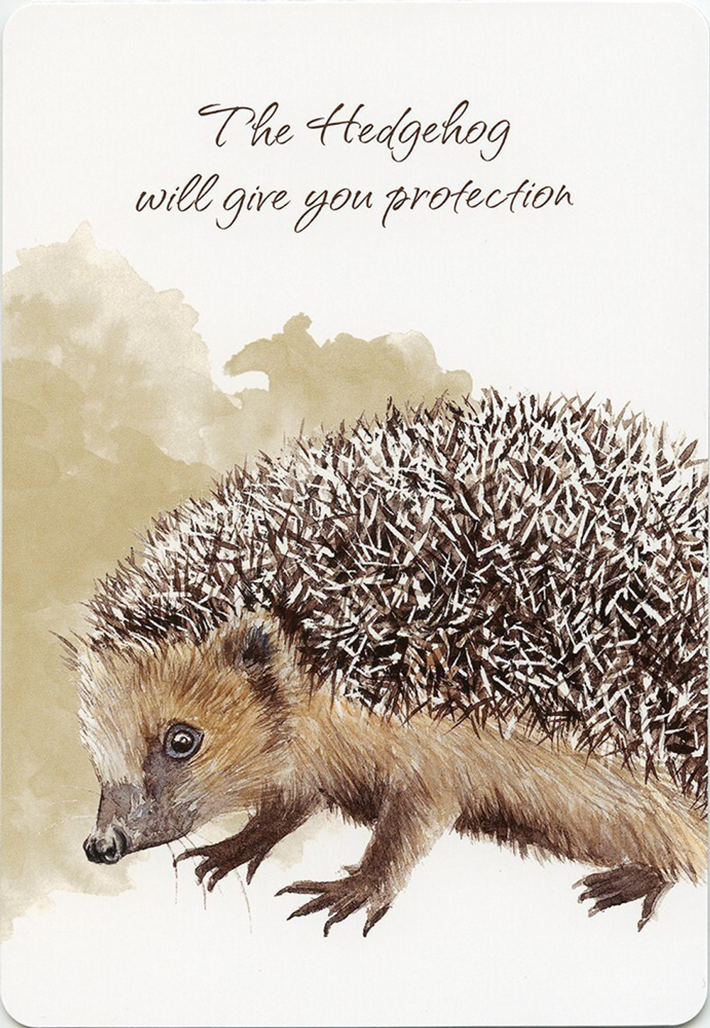 Power Animals. Spirit Guides for Your Spiritual Life / Оракул Сила Животных. Тотемы для вашей духовной жизни