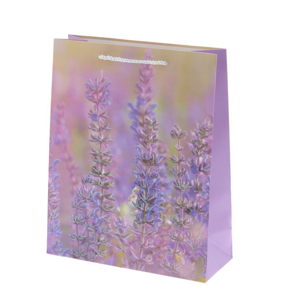 GAEM Пакет подарочный L (бумага 210г/м2, блок микс 12шт), L30 W12 H41,5 см, 4в.