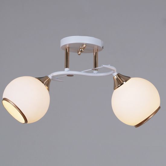 06117-0.3-02 WH+FG светильник потолочный