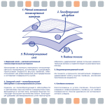 Пеленки 60х60 с активированным углем ElitePad