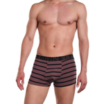 Мужские трусы-боксеры в широкую полосочку (Размер: L) (Цвет: коричневый)