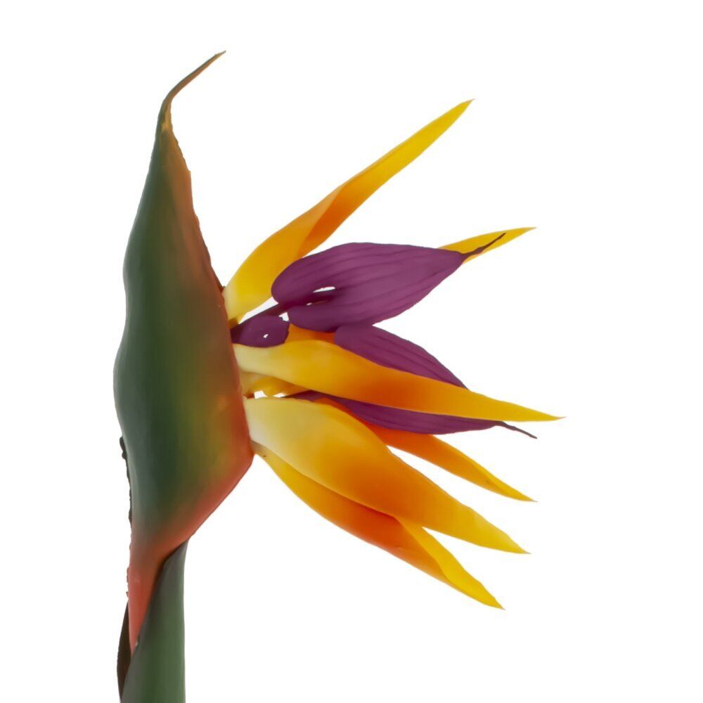 GAEM Цветок искусственный "Стрелиция" (Real Touch), L18 W11 H81 см