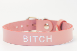 Лунный свет Ошейник с надписью BITCH (розовый)