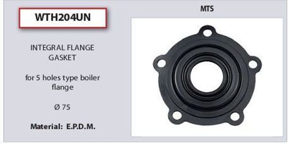 Фланцевая прокладка для водонагревателя Ariston (Аристон) - 570393, 290108, 924002 - D.75