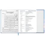Дневник 1-11 класс 48 л., твердый, BRAUBERG, матовая ламинация, магнитный клапан, закладка-ляссе, с подсказом, "Magic", 107243