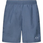 Oakley Sports Шорты