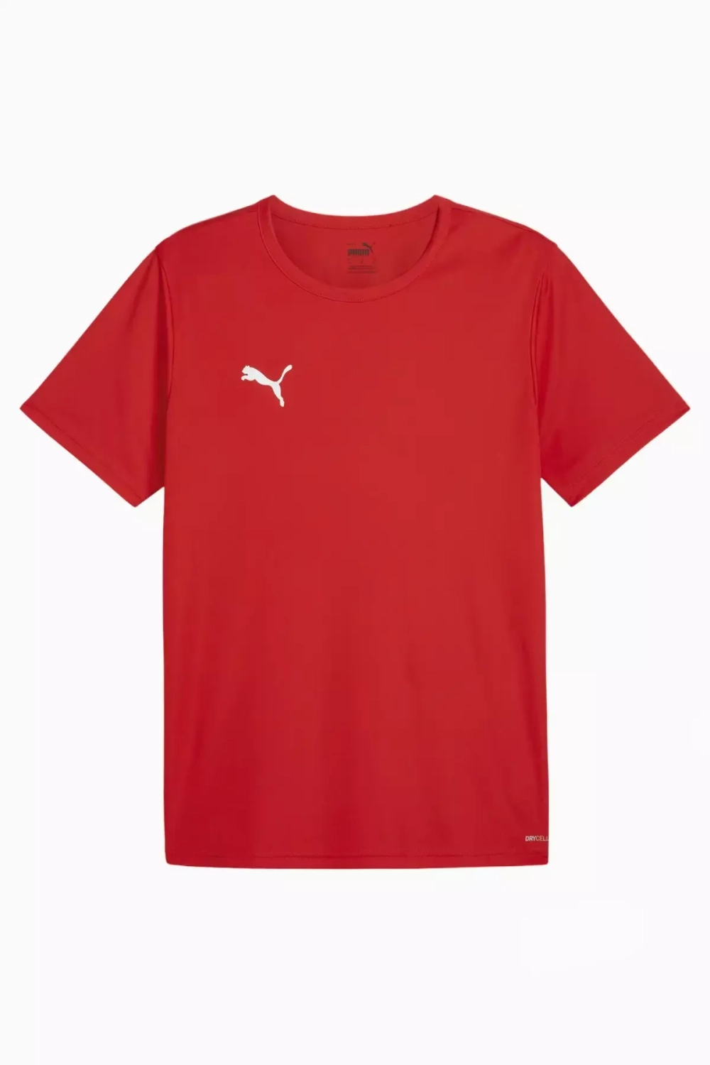 Футболка Puma teamRISE Matchday