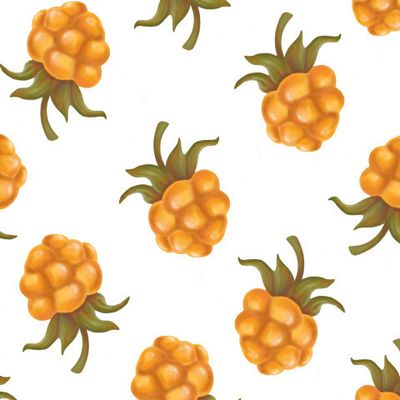 Ягода морошка