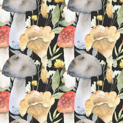 Грибы, лес, поляна