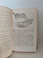 Плутония. Земля Санникова