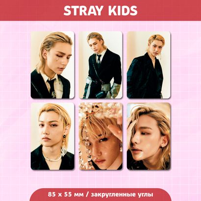 Сет карточек / STRAY KIDS #224