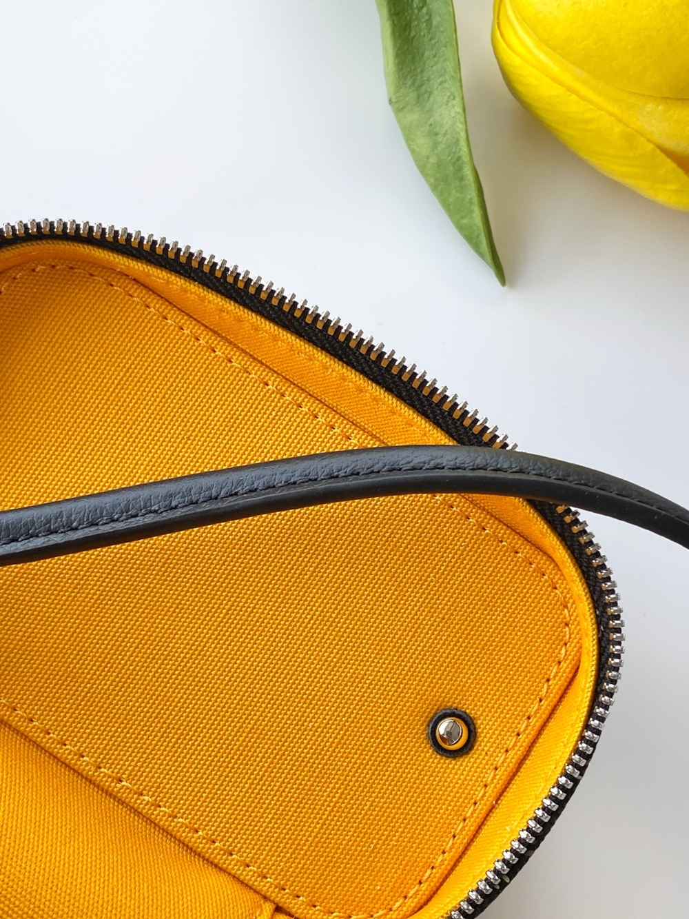 Goyard Muse Nano Vanity