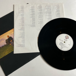 Винтажная виниловая пластинка LP Bee Gees E S P (Germany 1987) Angela