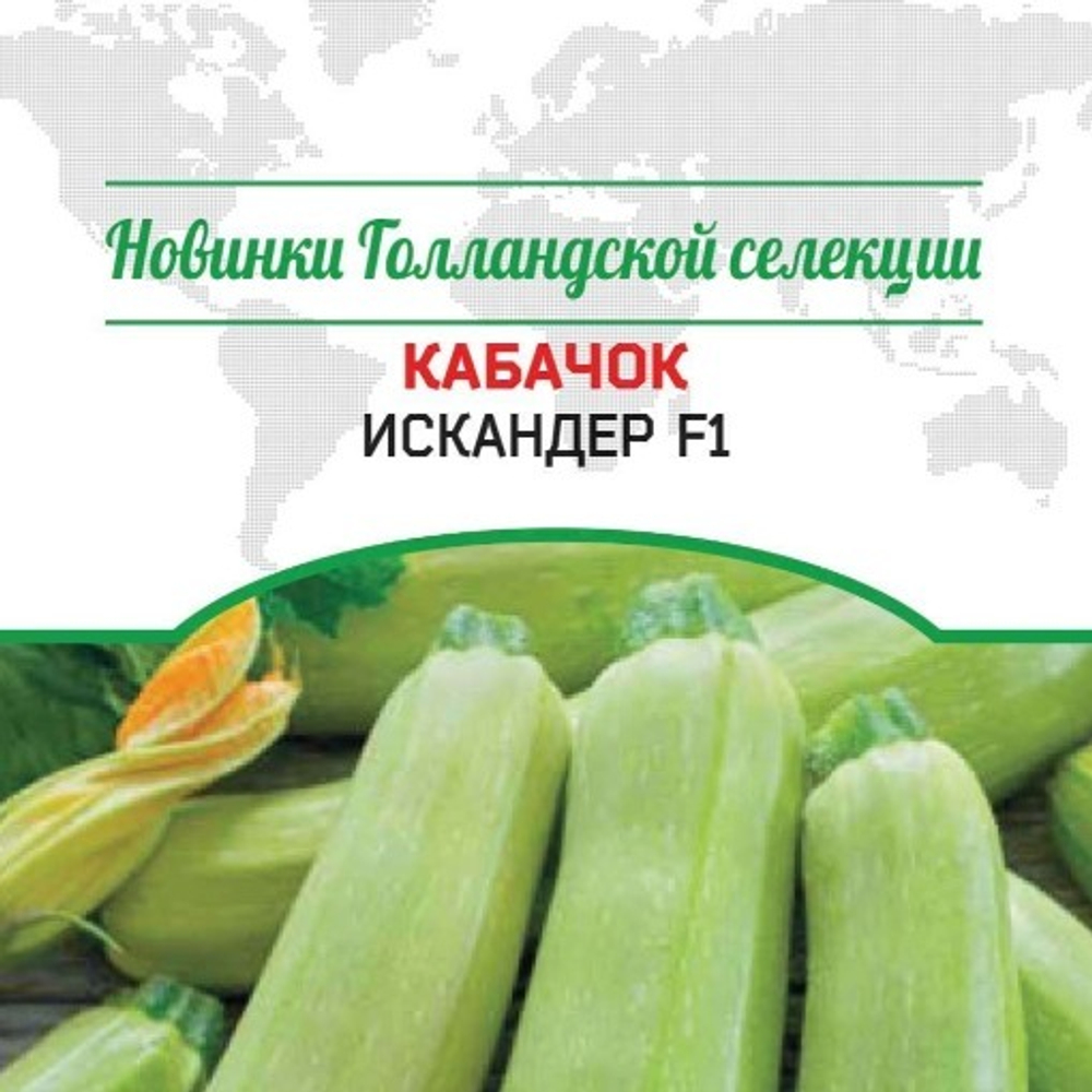 Кабачок Искандер F1
