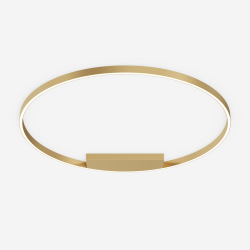 Потолочный светильник Maytoni MOD058CL-L65BSK