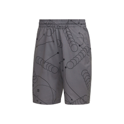Мужские теннисные шорты adidas Club Graphic Shorts Men - Grey