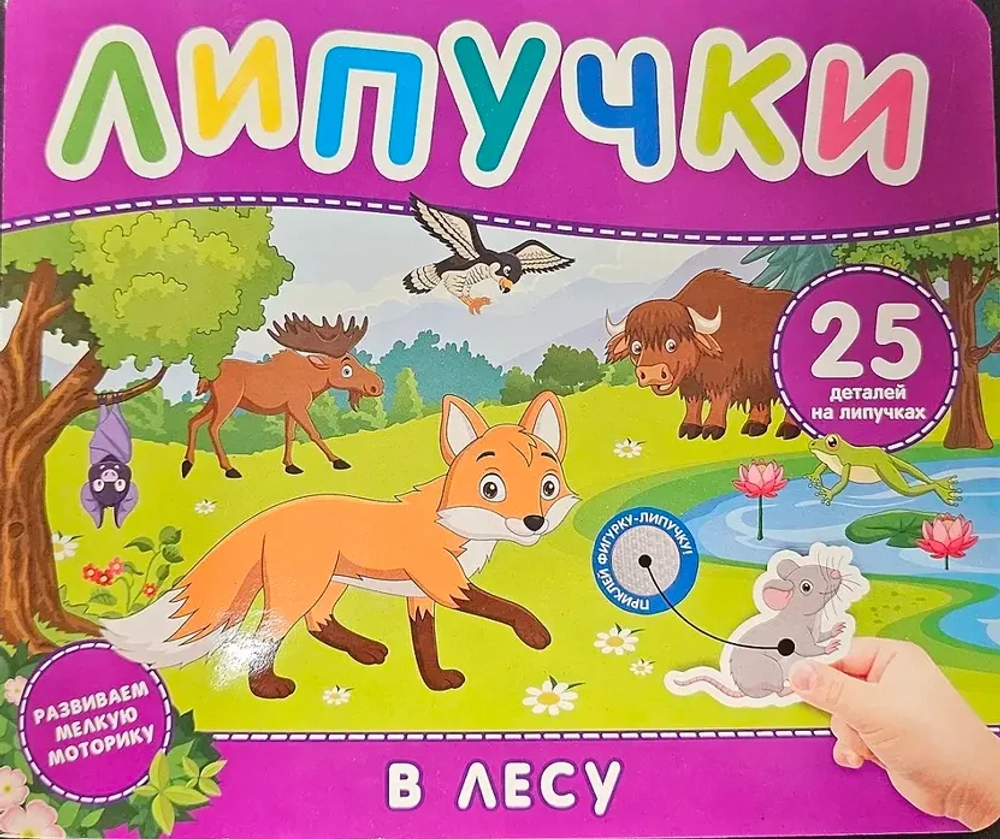 Книга с липучками