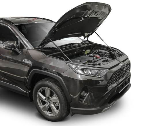Газовые упоры капота Rival для Toyota RAV4 XA50 2019-н.в., 2 шт., A.ST.5714.1