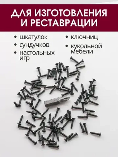 Набор саморезов (шурупов) 2 х 10 мм, черный, 100 шт
