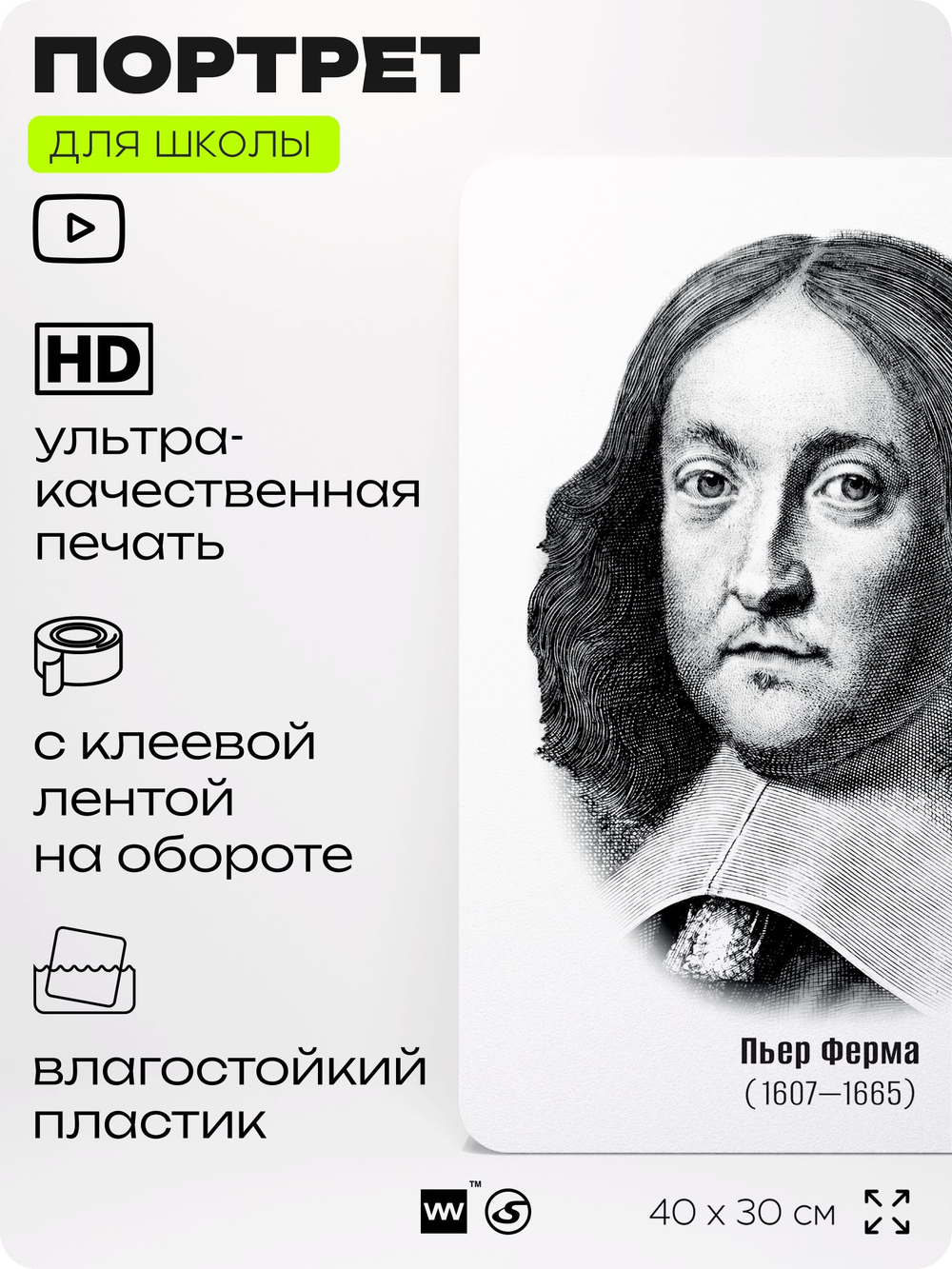 Портрет для школы в кабинет математики "Пьер Ферма", стенд школьный для класса, деятели науки для оформления классного уголка, 40х30 см, Silver Plane x Айдентика Технолоджи