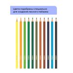 Карандаши цветные 12цв. Гамма Хобби. Лесной пейзаж