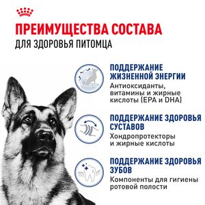 Уценка! Срок 05.07.26/ Сухой корм Royal Canin Maxi Adult 5+ для взрослых собак крупных размеров от 5 лет до 8 лет