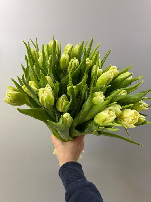 Букет 35 Тюльпанов (Б-170)