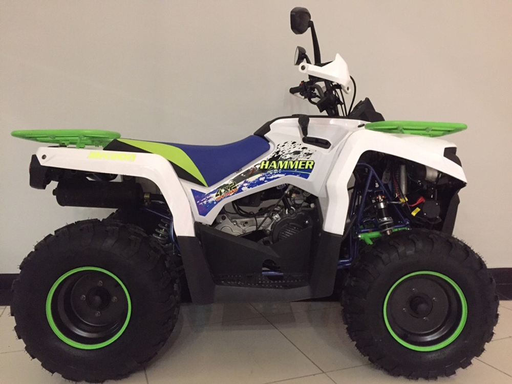 MOTAX ATV Grizlik 200 NEW