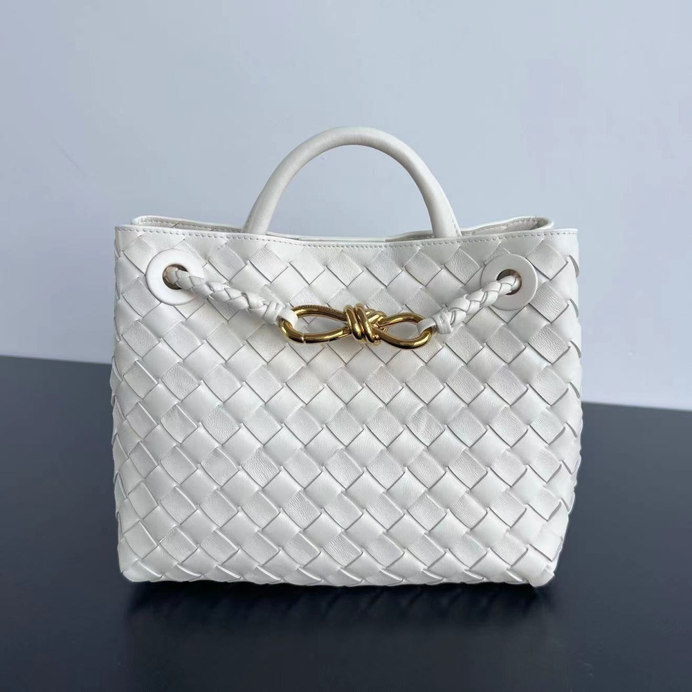 Bottega Veneta Small Andiamo 25 cm