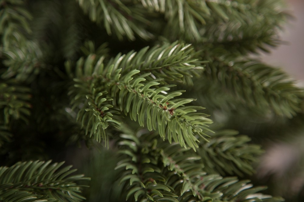 Ель Царская 100% литая 260см зеленая Triumph Tree