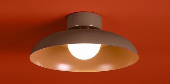 Потолочный светильник Freya FR5602CL-L10BR