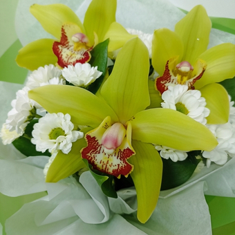 Букет из орхидей и хризантемы Фея