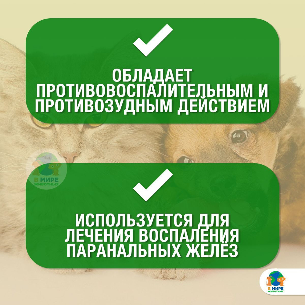 СУРОЛАН суспензия для лечения отитов, препарат для ушей, 15 мл