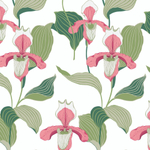 Modern Heritage 125th Anniversary