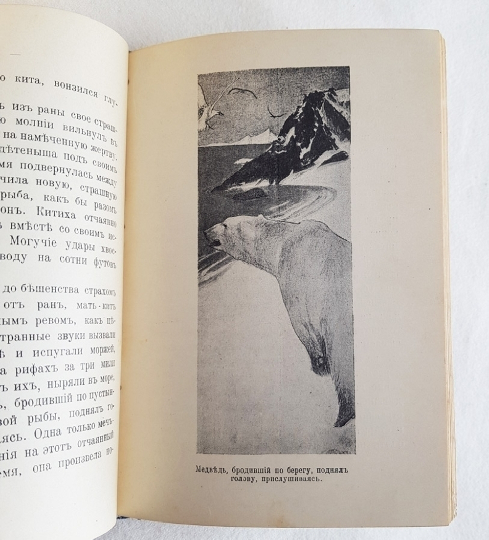 "Дети вод и лесов". Чарльз Робертс. 1915г. - антикварное издание