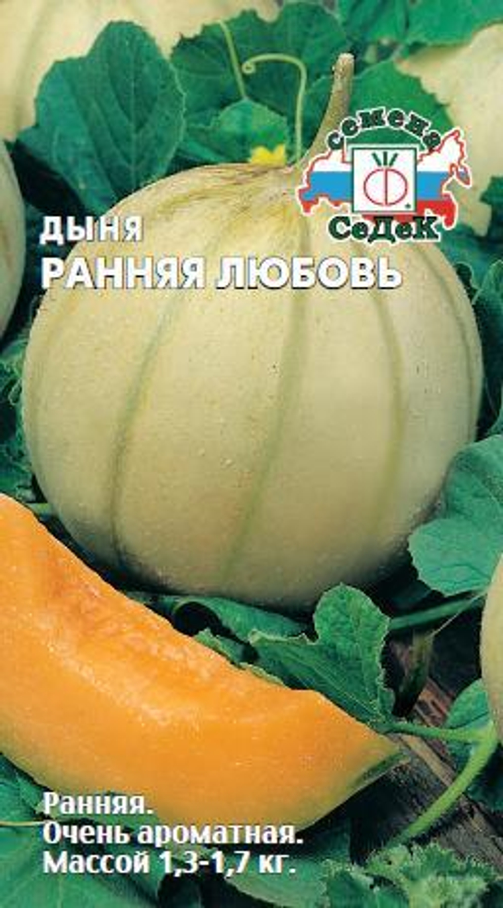 дыня Ранняя Любовь