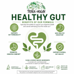 Terra Origin, Healthy Gut™, добавка для здоровья кишечника, со вкусом зелёного яблока, 246 г (8,68 унции)
