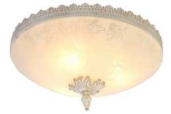 Накладной светильник Arte Lamp A4541PL-3WG
