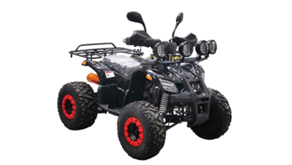 Квадроцикл BISON KIDS 125 LD