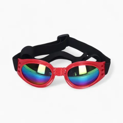 Очки «Cool Rider»