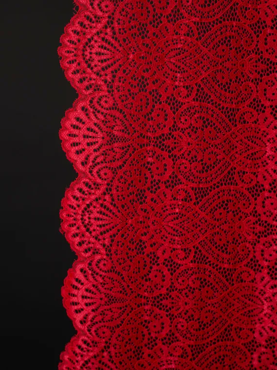 03-251 ОПТ Кружево эластичное 23 см, красный 100