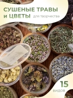 Набор трав и сухоцветов для творчества и декора