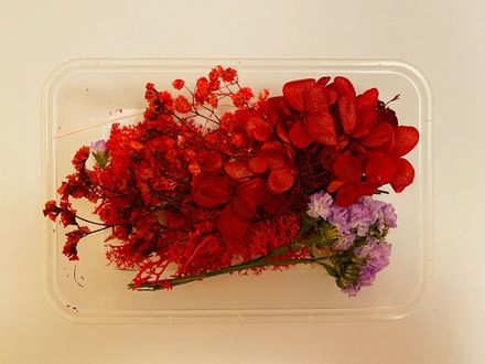 Набор сухоцветов 4