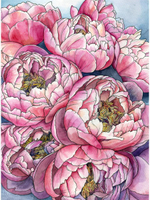 Картина по номерам 22х30см. "Букет пионов" 16цв. (Арт. Х-4094)