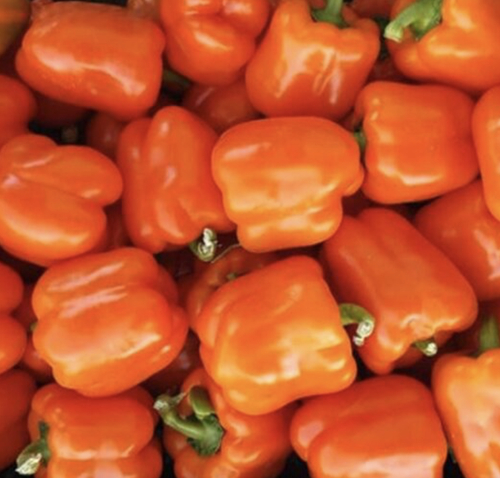 Перец сладкий Клементин F1