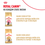 Royal Canin Maine Coon Kitten Мейн Кун Киттен Корм влажный для котят породы Мэйн Кун в возрасте до 15 месяцев соус 85г