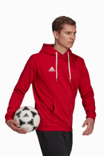 Кофта adidas Entrada 22 Sweat